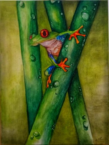 A coloured painting of a tree frog on bamboo