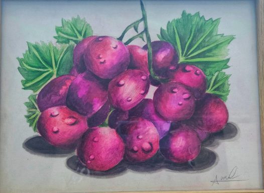 A watercolour painting of red grapes and grape leaves on a white background