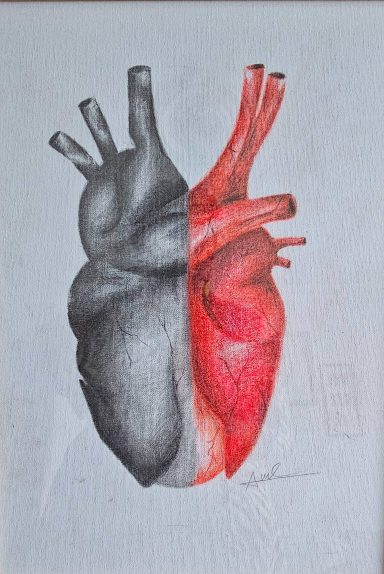 A grey and colour pencil drawing of a heart. Half is in grey the other half is coloured red. The drawing is on a framed stretch canvas